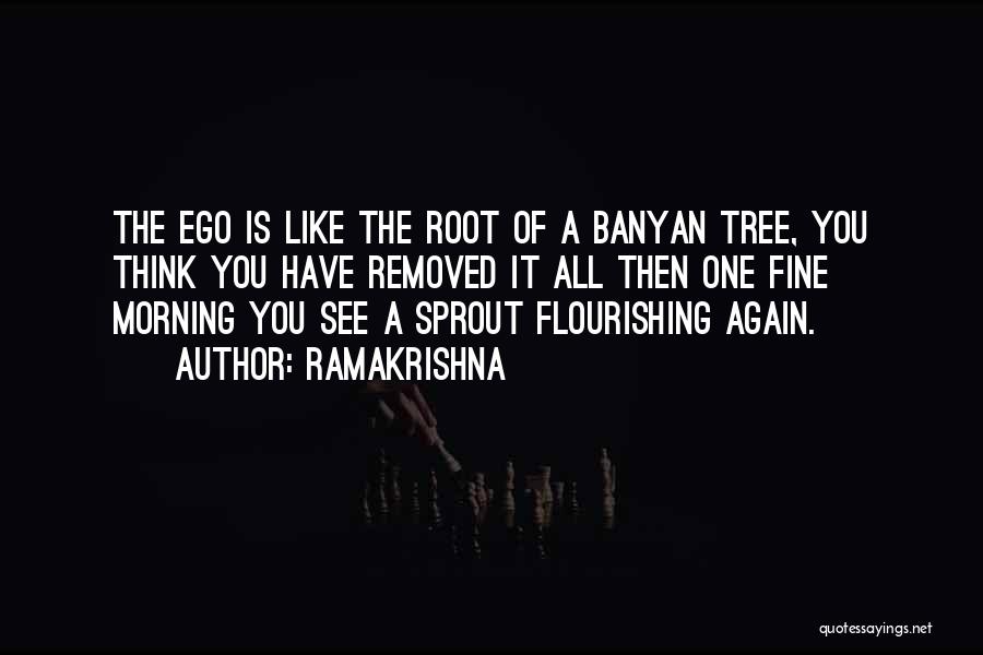 Banyan Tree Quotes By Ramakrishna