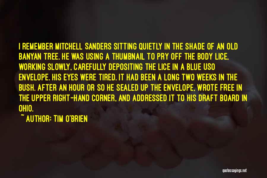 Banyan Tree Quotes By Tim O'Brien