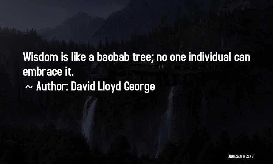Baobab Quotes By David Lloyd George