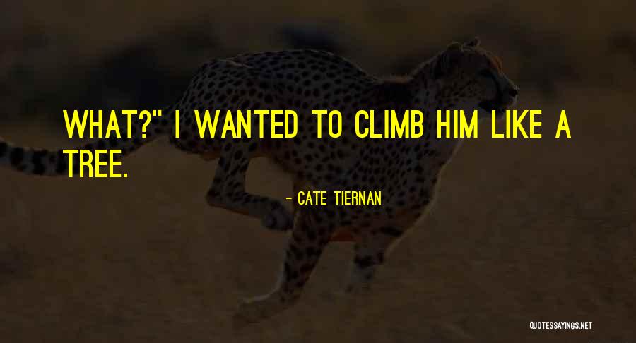 Baptiste On Masterpiece Quotes By Cate Tiernan Baptiste On Masterpiece Quotes By Cate Tiernan