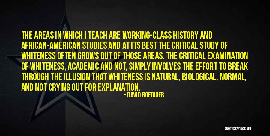 Baqara Afasy Quotes By David Roediger Baqara Afasy Quotes By David Roediger
