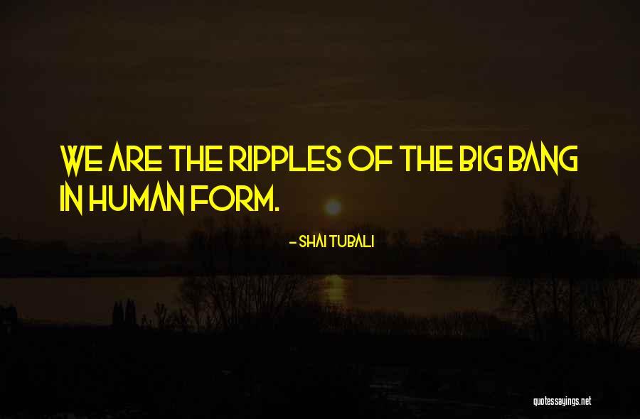 Baquero Quotes By Shai Tubali Baquero Quotes By Shai Tubali
