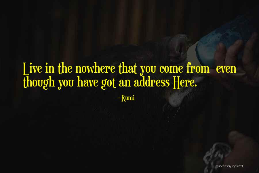 Baquero Translations Quotes By Rumi Baquero Translations Quotes By Rumi
