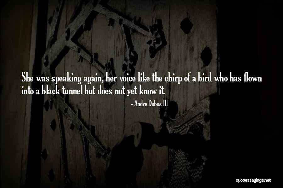 Bar Nights Quotes By Andre Dubus III Bar Nights Quotes By Andre Dubus III