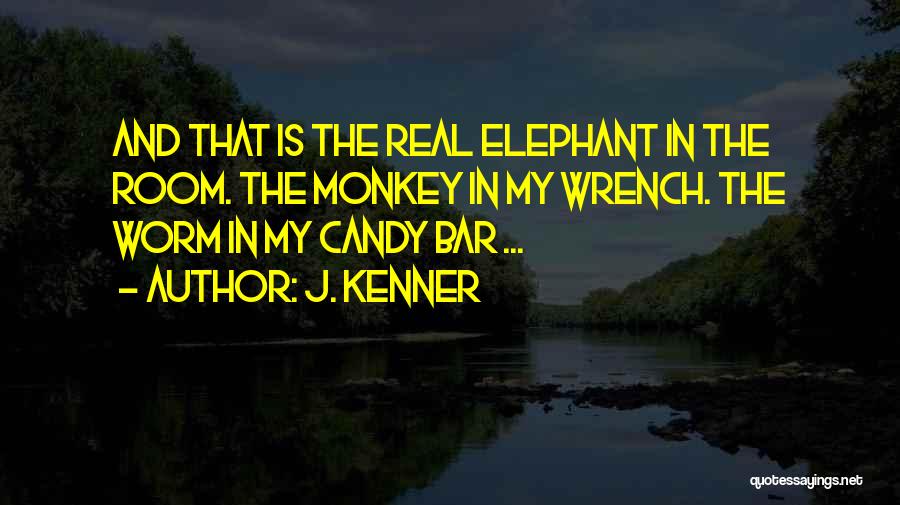 Bar Quotes By J. Kenner