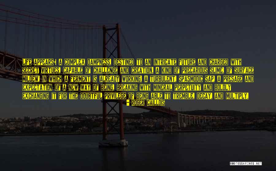 Barabasi The Formula Quotes By Roger Caillois Barabasi The Formula Quotes By Roger Caillois