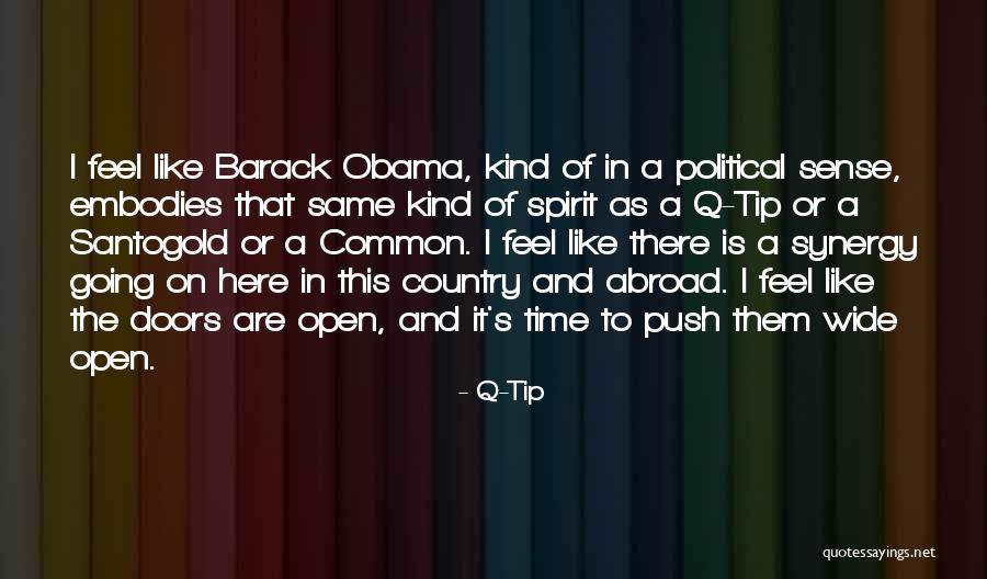 Barack Obama Common Quotes By Q-Tip Barack Obama Common Quotes By Q-Tip