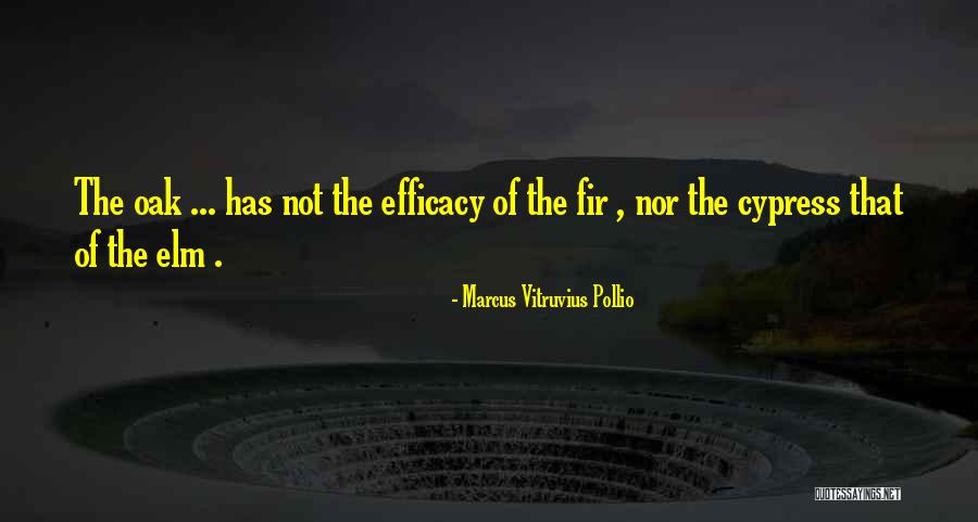 Barack Obama Drone Quotes By Marcus Vitruvius Pollio Barack Obama Drone Quotes By Marcus Vitruvius Pollio