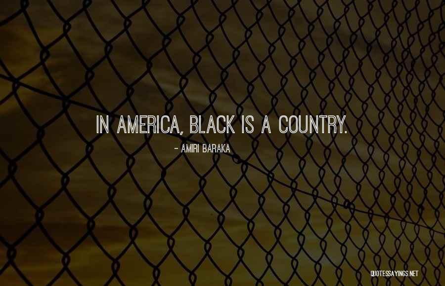 Baraka Quotes By Amiri Baraka Baraka Quotes By Amiri Baraka
