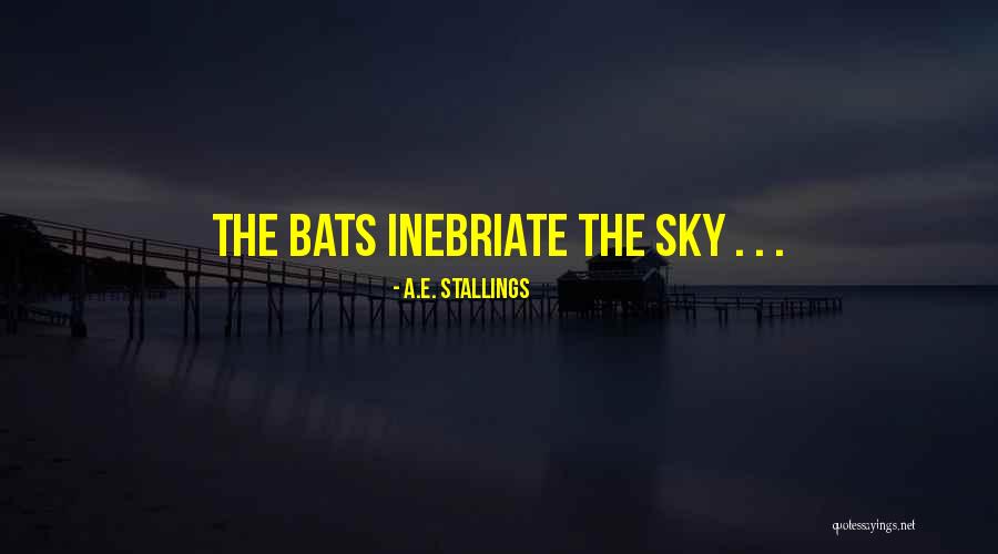 Barakah Meets Quotes By A.E. Stallings Barakah Meets Quotes By A.E. Stallings