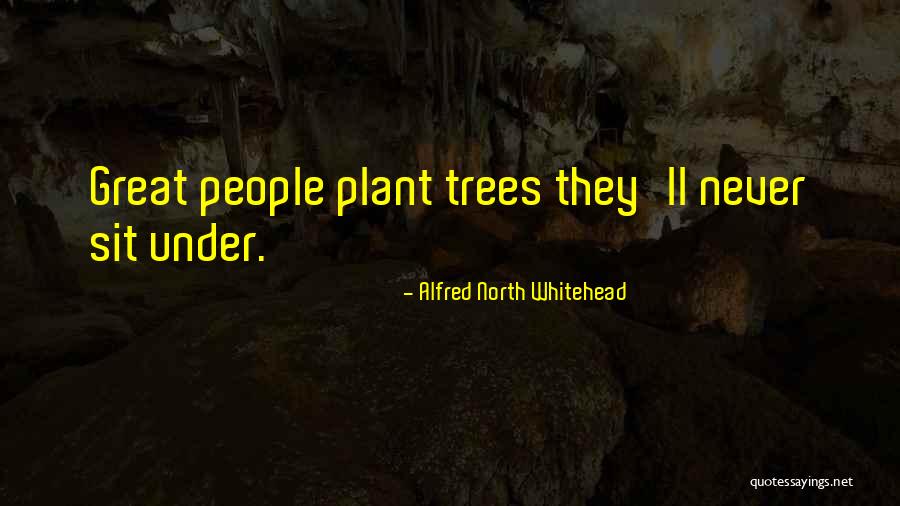 Barakaldo Digital Quotes By Alfred North Whitehead Barakaldo Digital Quotes By Alfred North Whitehead