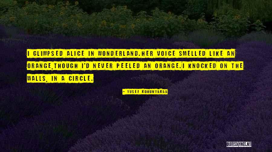 Baranik Quotes By Yusef Komunyakaa Baranik Quotes By Yusef Komunyakaa