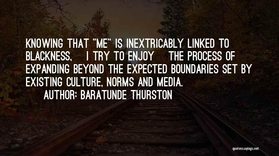 Baratunde Thurston Quotes 1400455