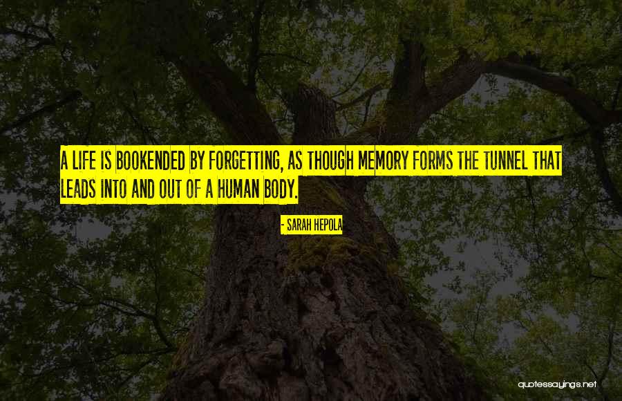 Barauna Marcenaria Quotes By Sarah Hepola Barauna Marcenaria Quotes By Sarah Hepola