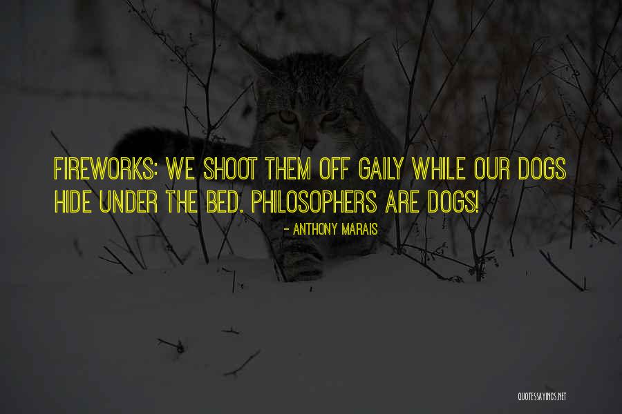 Barbagianni Verso Quotes By Anthony Marais Barbagianni Verso Quotes By Anthony Marais