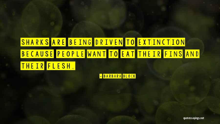 Barbara Block Quotes 1702869 Barbara Block Quotes 1702869