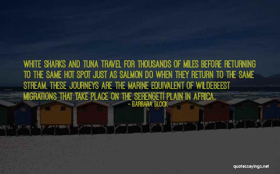 Barbara Block Quotes 421921 Barbara Block Quotes 421921
