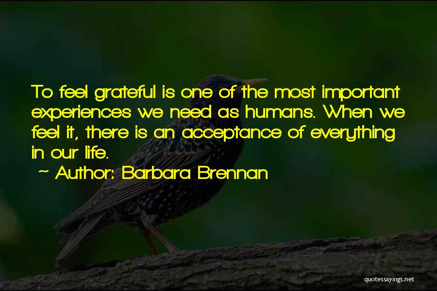 Barbara Brennan Quotes 2169944