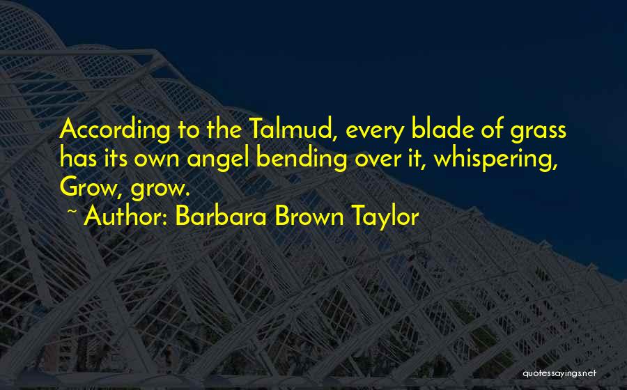 Barbara Brown Taylor Quotes 226965