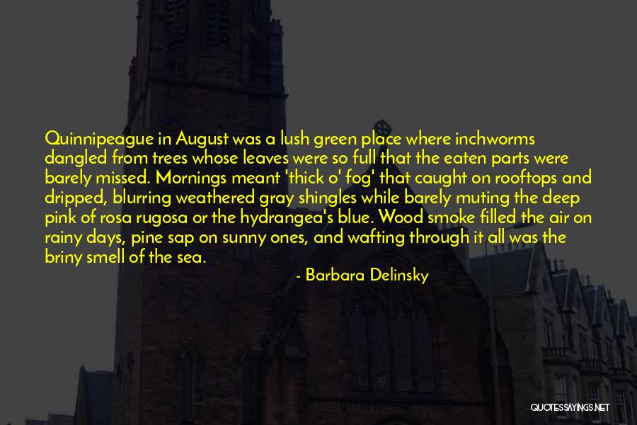 Barbara Delinsky Quotes 2251621