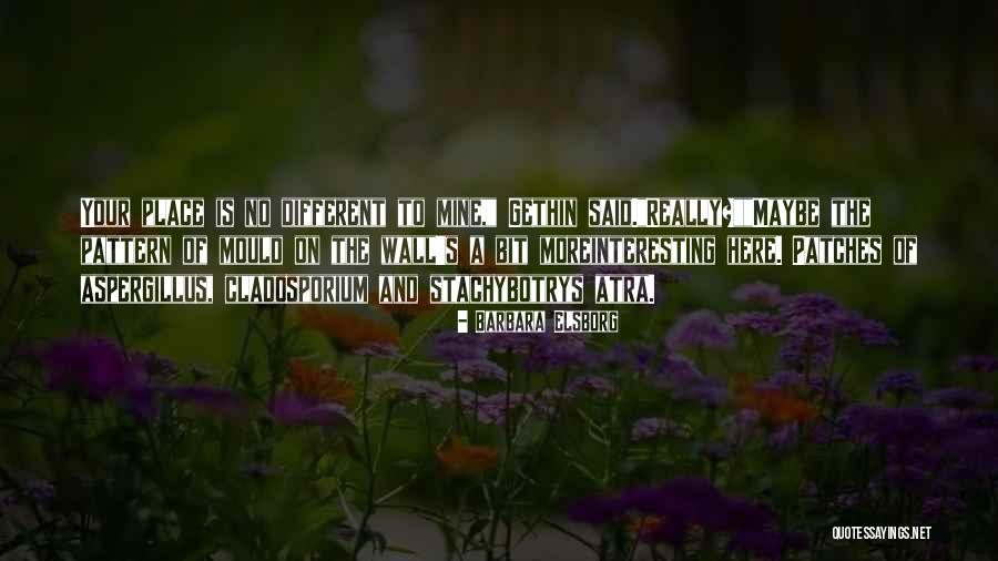 Barbara Elsborg Quotes 1567856 Barbara Elsborg Quotes 1567856