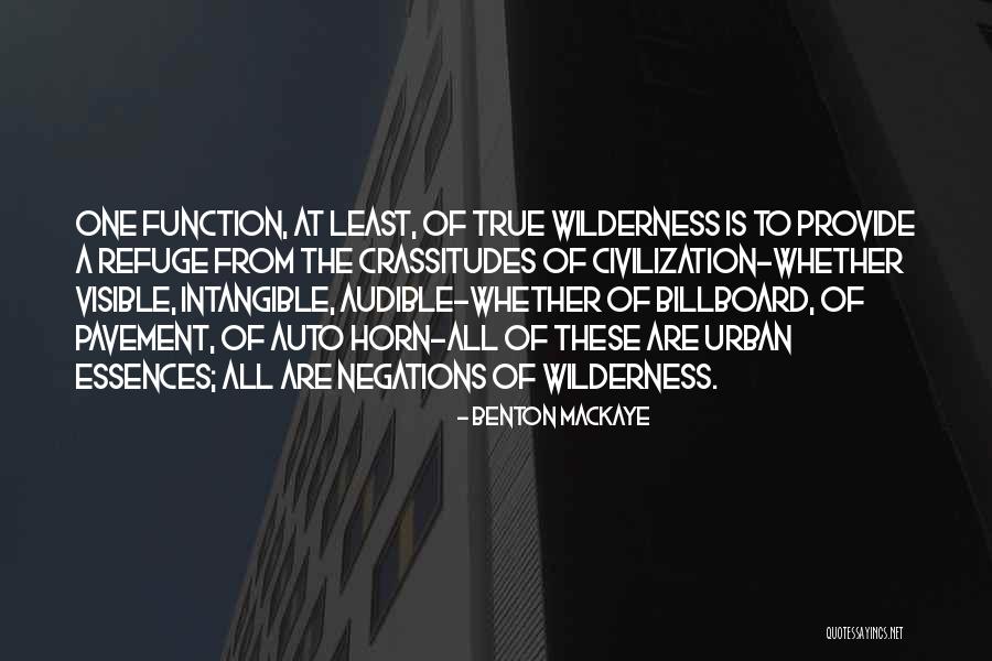 Barbara Fitts Quotes By Benton MacKaye Barbara Fitts Quotes By Benton MacKaye