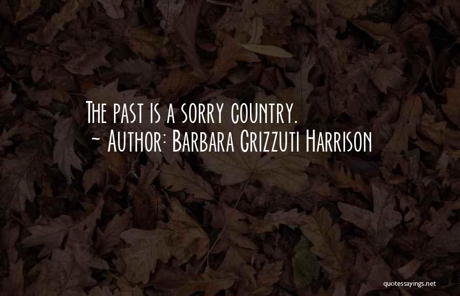 Barbara Grizzuti Harrison Quotes 1325727