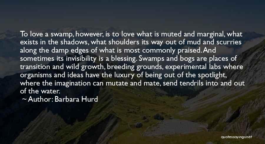 Barbara Hurd Quotes 730491