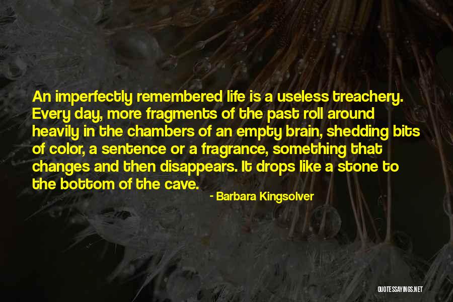 Barbara Kingsolver Quotes 1519134