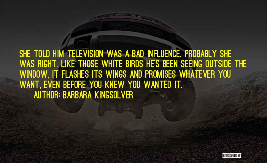 Barbara Kingsolver Quotes 1592574