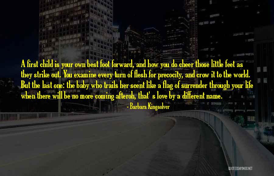 Barbara Kingsolver Quotes 1677886