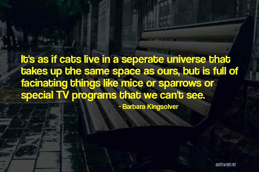 Barbara Kingsolver Quotes 316360