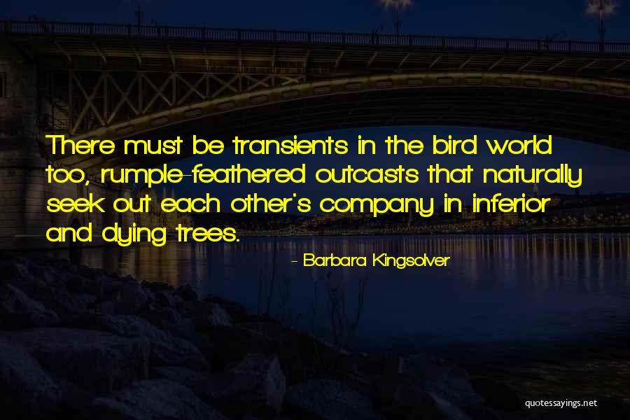 Barbara Kingsolver Quotes 473008