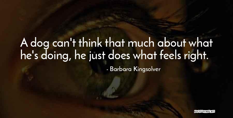 Barbara Kingsolver Quotes 571001