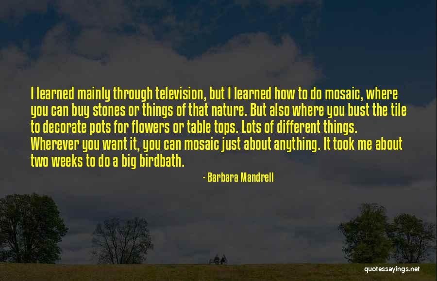 Barbara Mandrell Quotes 1682104 Barbara Mandrell Quotes 1682104