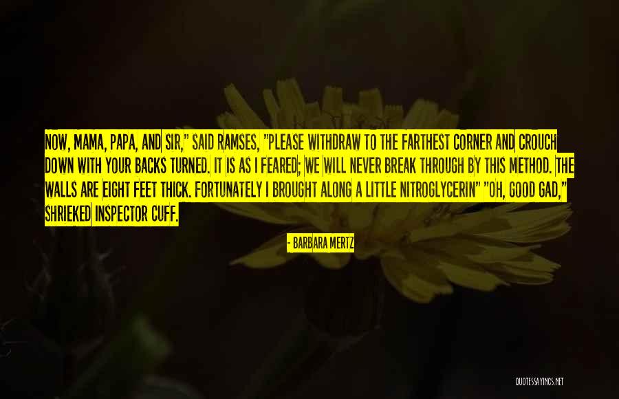 Barbara Mertz Quotes 403012 Barbara Mertz Quotes 403012