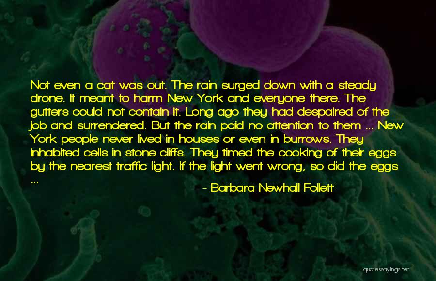 Barbara Newhall Follett Quotes 216218 Barbara Newhall Follett Quotes 216218