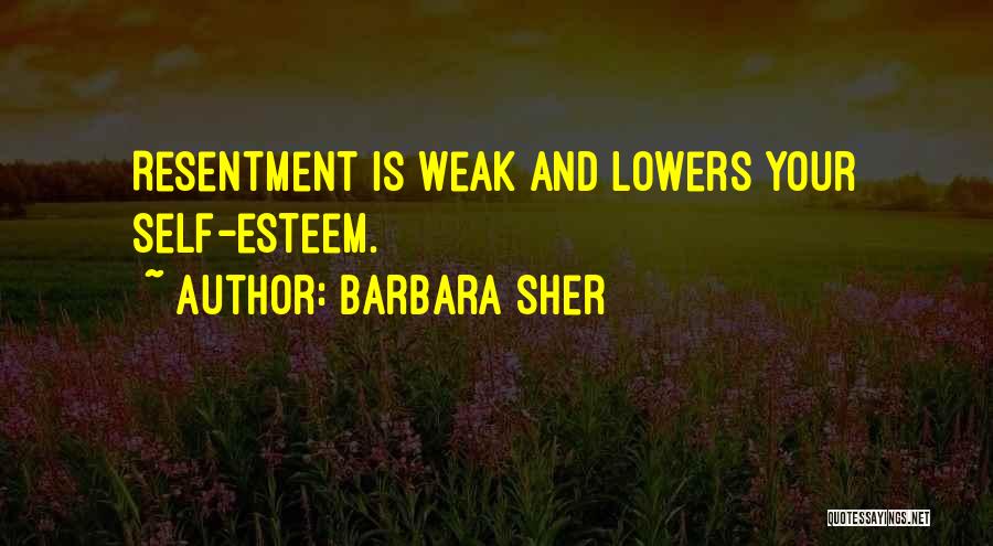 Barbara Sher Quotes 1230355