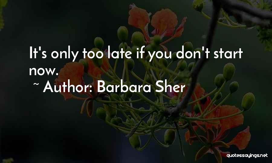 Barbara Sher Quotes 1387746