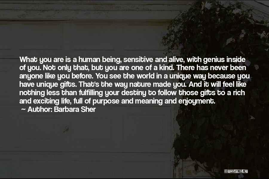 Barbara Sher Quotes 1609078