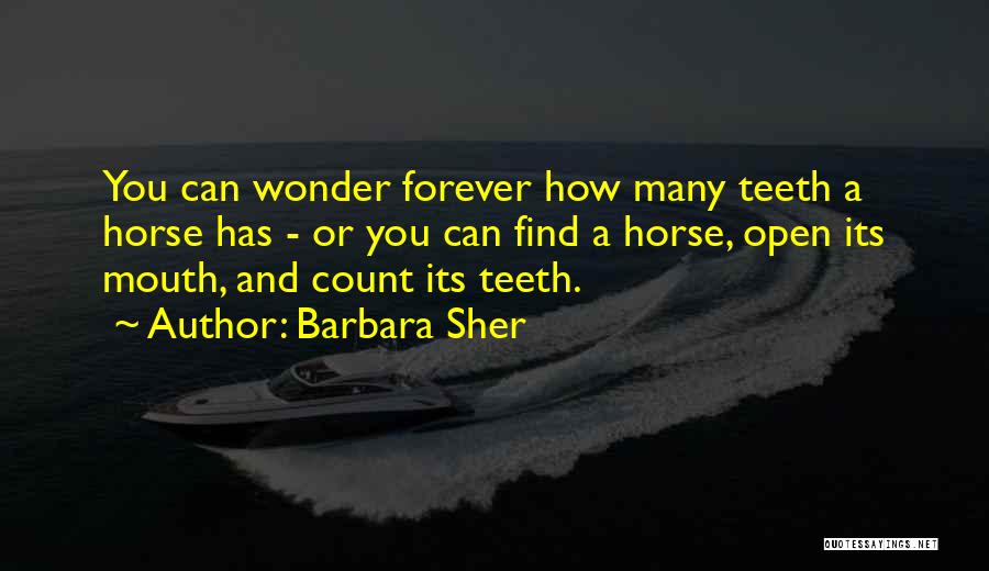 Barbara Sher Quotes 214437