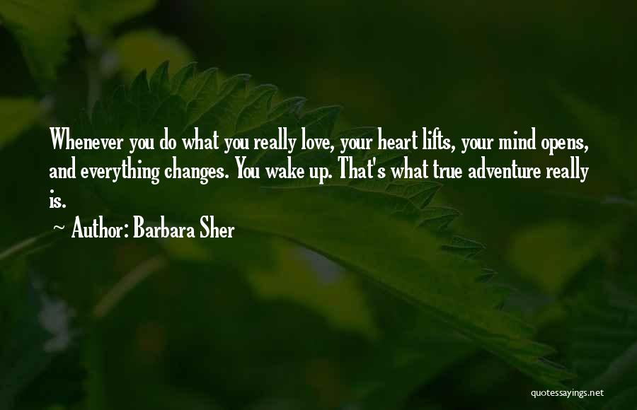 Barbara Sher Quotes 394962