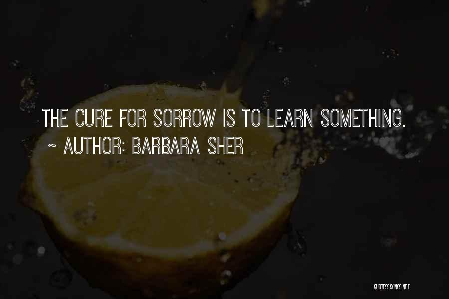 Barbara Sher Quotes 609812