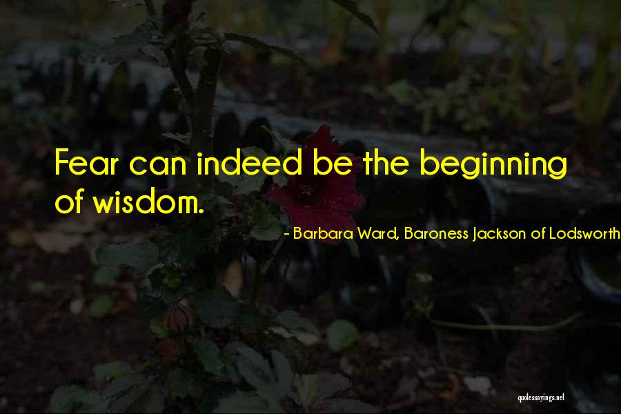 Barbara Ward, Baroness Jackson Of Lodsworth Quotes 2126767