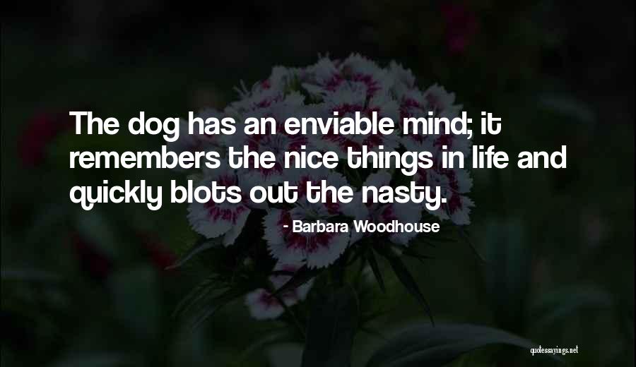 Barbara Woodhouse Quotes 1840076