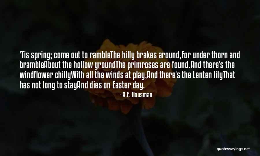 Barbarita Quotes By A.E. Housman Barbarita Quotes By A.E. Housman
