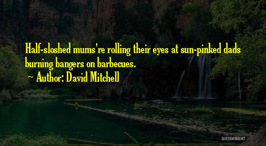 Barbecues Quotes By David Mitchell