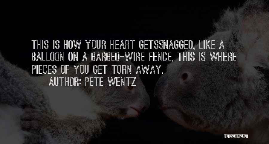 Barbed Wire Fence Quotes By Pete Wentz