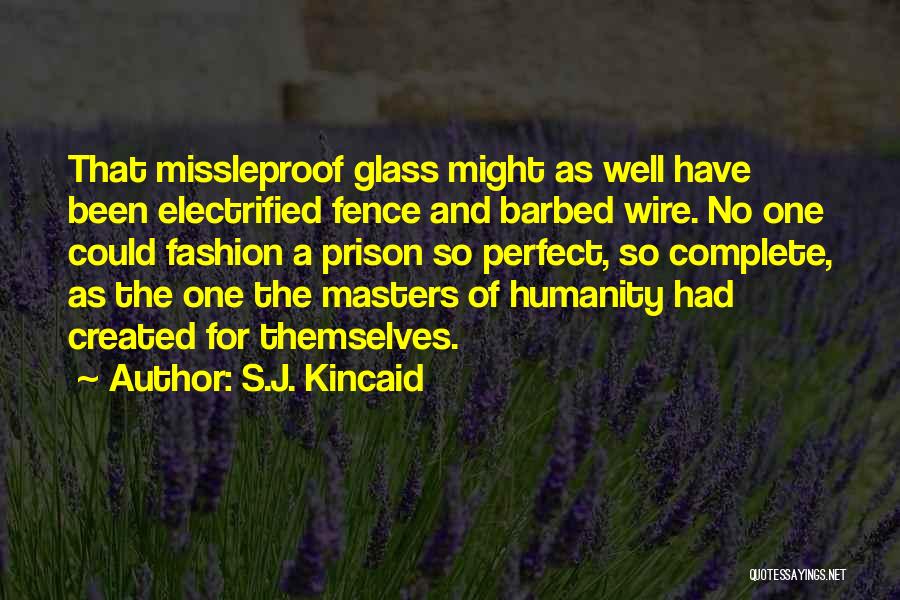 Barbed Wire Fence Quotes By S.J. Kincaid