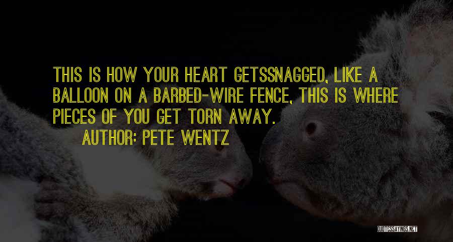 Barbed Wire Heart Quotes By Pete Wentz